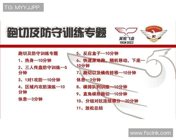 深入分析北京飞盘队的区域防守战术与策略解析