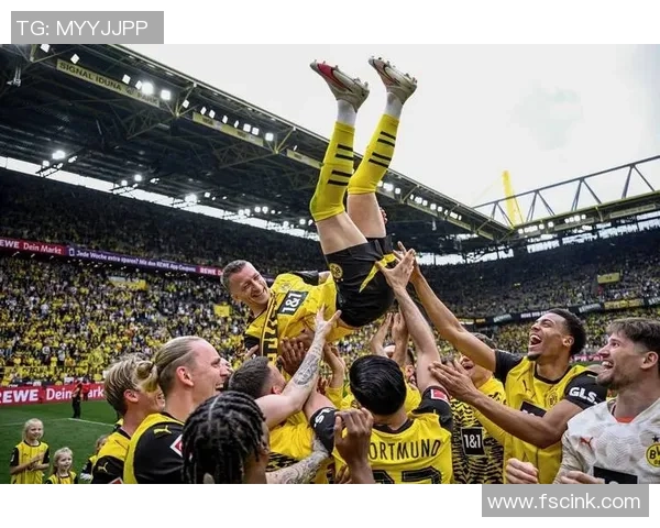 多特蒙德球迷骚乱引发欧冠禁赛处罚及高额罚款事件分析